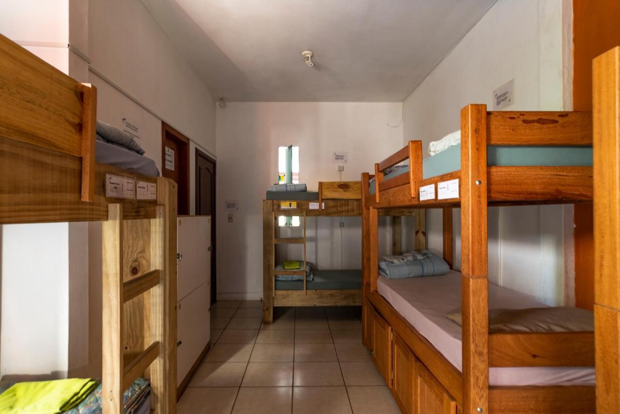 Geckos Hostel