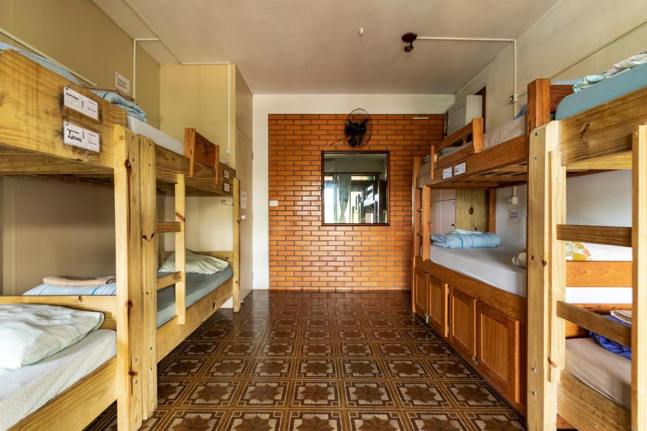 Hostel Geckos *