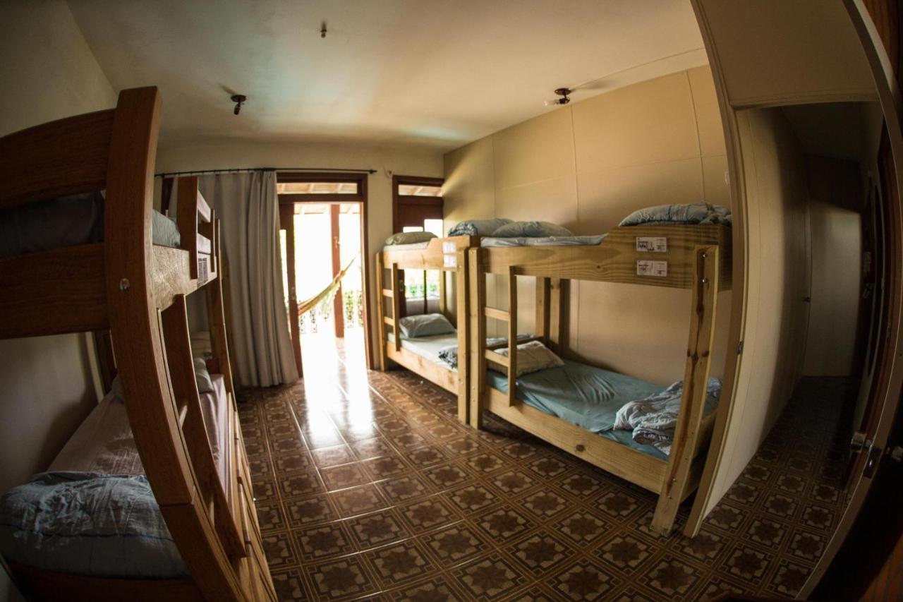 Hostel Geckos