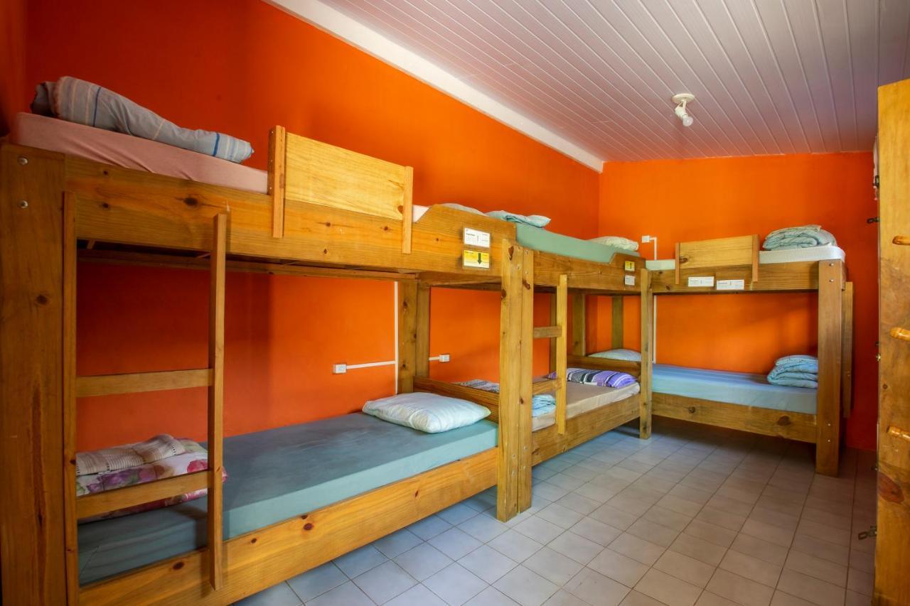 Hostel Geckos
