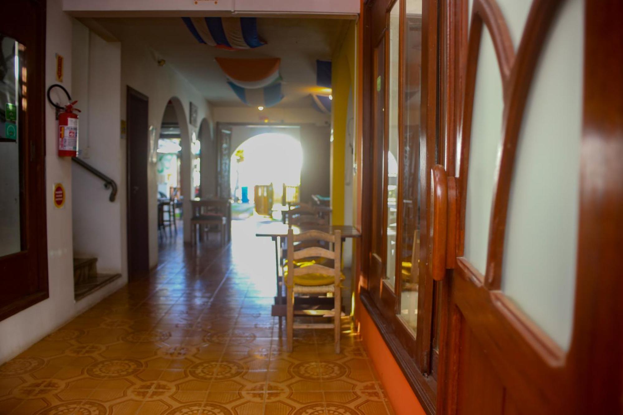 Hostel Geckos