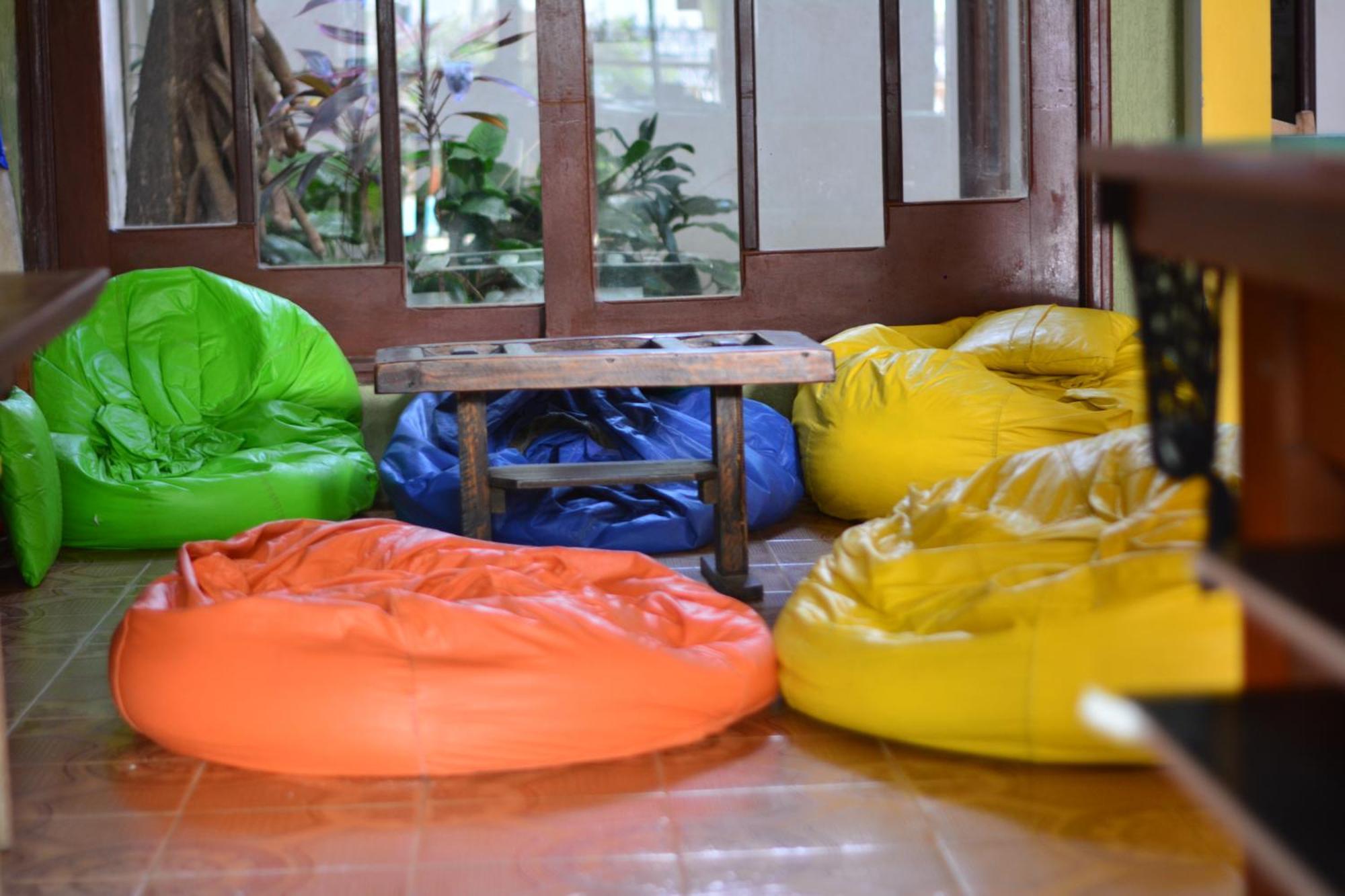 Hostel Geckos